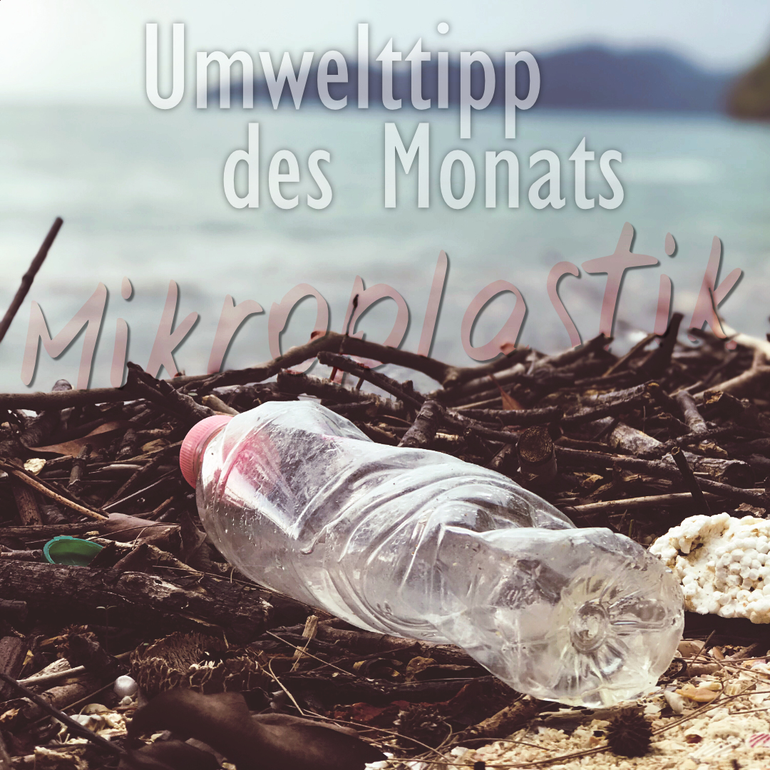 umwelttipp januar22
